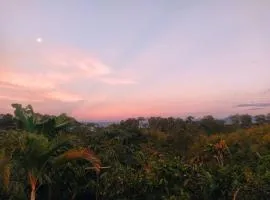 Finca los Martinez - Tamesis - Vereda San Isidro