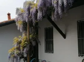 Delizioso appartamento in corte