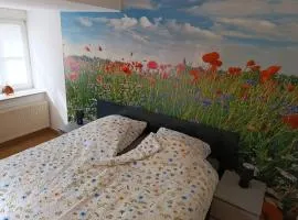 Lillie 3-4 Personen - Ferienwohnungen Wagner & Gaul Falkenauel