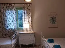 Vitamin sea Studio