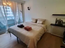 Apartment 2 or 3 bedrooms near Paris