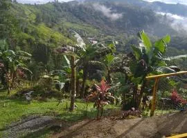 Toucan Mountain Rest