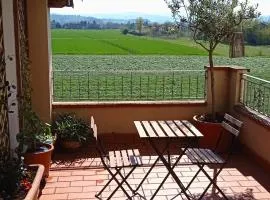 Bilocale tra città e colline.