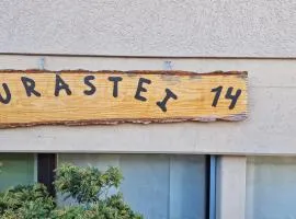Jurastei14