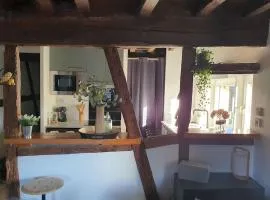 Appartement cosy dans le centre historique