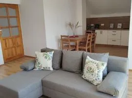Apartament za lasem