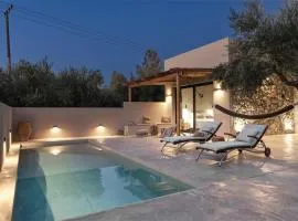 Skylight Elia Suite Private Pool - Casa Kalitero