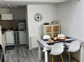 Appartement duplex lumineux idéalement situé