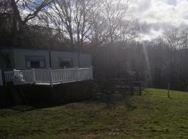Durham Donkey Rescue Showman's Wagon, glamping site in Durham