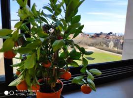 Midt Town Apartment Room, homestay di Arhus