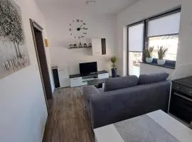 Apartmaji Tisa in Žana