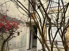 Belle F2 centre ville Massy avec jardin