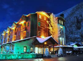 Inan Kardesler Hotel, hotel in Uzungöl
