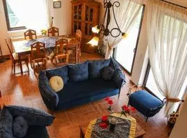Nice house in Euboea