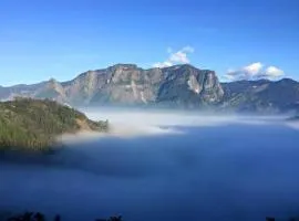 Ming Camphor Homestay