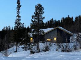Brand new cabin on the sunny side of Gaustatoppen with a great view: Tuddal şehrinde bir kulübe