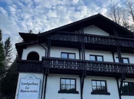 Pension zur Hammermühle, cheap hotel in Wallenfels