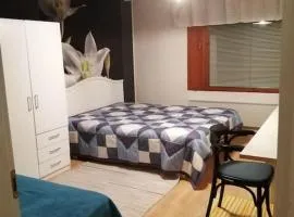 Tilava kahden makuuhuoneen asunto pihalla