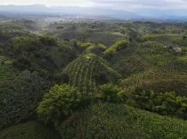 Finca la castellana