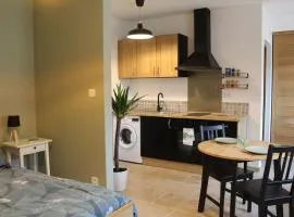 Studio 30m² à Billey