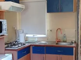 CAMPING LE BEL AIR- Mobil home le laurier