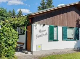 Holiday home in Bad Mitterndorf - Steiermark 41114