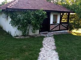Lodge Morava 2, chata v destinaci Vrnjačka Banja