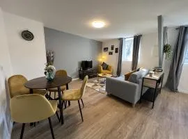 Nid douillet T2 rénové climatisé centre