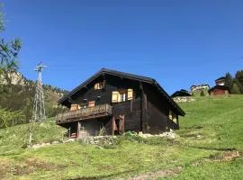 Alphütte Riederalp Planier in der Aletsch Arena