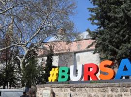 Cozy Home Next to Green Mosque, apartment in Yıldırım