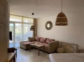 STUDIO 31 South Pearl Homes