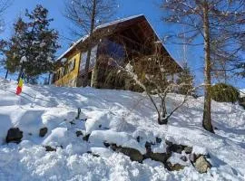 Cabana Aura Campulung Moldovenesc