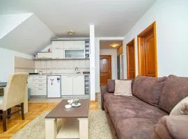 Apartman Zlatibor 1402