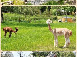 SARNOGRÓD - Agroturystyka z alpakami, hotel di Babięta