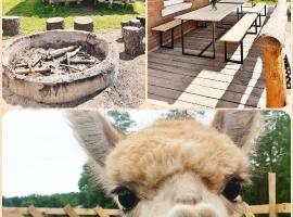SARNOGRÓD - Agroturystyka z alpakami, hotel a Babięta