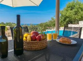 Mljet, old stone apartment with pool in nature