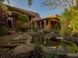 ¡Nueva! Bamboo - Hacienda Real
