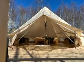 Brzozowisko Tuchomko - Glamping