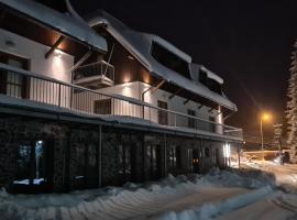 Penzion Dominik, hotel near Engadin I, Železná Ruda