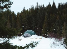 Golden Circle Domes - Glamping Experience, hotel in Selfoss