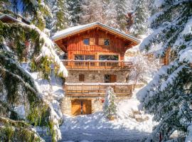 Chalet Dakota, Pied des pistes, 15 pers, La Plagne, orlofshús/-íbúð í Plagne 1800