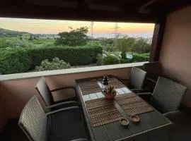 Piko's apartments