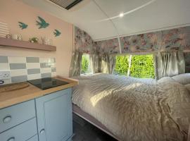 Molly The Vintage Caravan., Hotel in Wigton