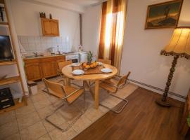 Apartmani Lazić, ubytování v soukromí v destinaci Ribarska Banja