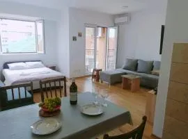 Vesna Apartment