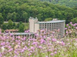 Slopeside Hotel by Seven Springs Resort、Championのリゾート