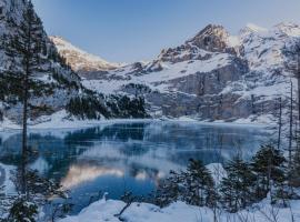 Alpina Appartment Kandersteg、カンデルシュテークのバケーションレンタル