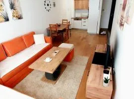 Apartman Stan ,Istocno Sarajevo 26