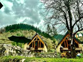 The Bushman Rustic Cottages and Dorm, hotel in Jibhi
