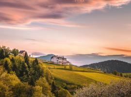 Bliżej Nieba, holiday rental in Skrzydlna